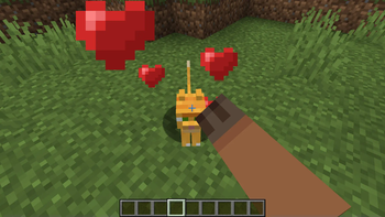 petting a cat