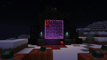 Nether Portal