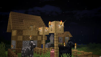 Village at night