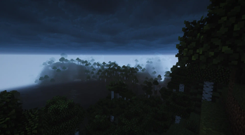 A foggy view...
