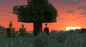 Floral Creepers — screenshot 1