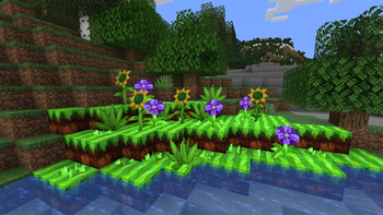 Green Hill Plants Collection