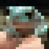 BufoCraft