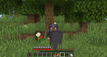 More Shields — screenshot 1