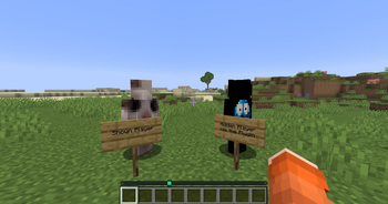 Player Example