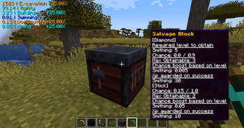 Salvaging (Previewing)