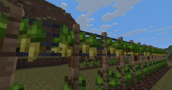 Vintner — screenshot 3