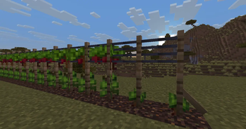 Vintner — screenshot 4