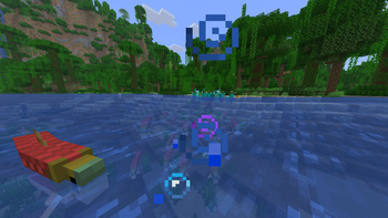 fish attack