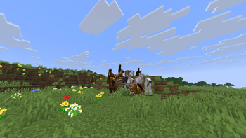 horses
