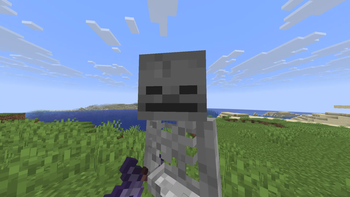 Skeleton