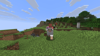 Sheep?