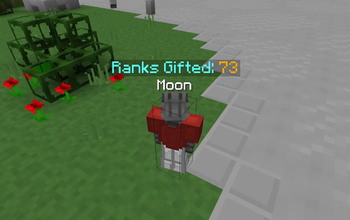 Simple NickHider +...