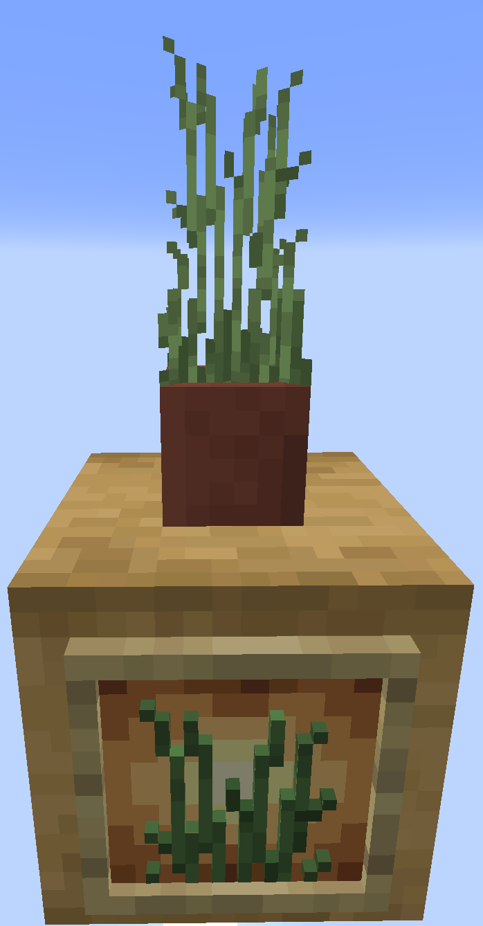 Potted Tall Grass