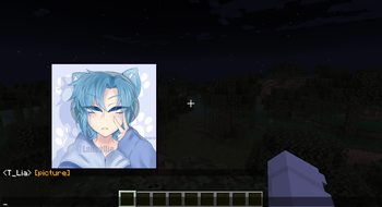 Image preview