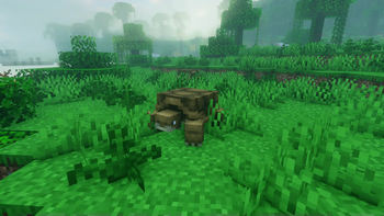 New Mobs