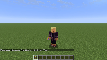 Disguise applied