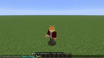 Command disguise execution