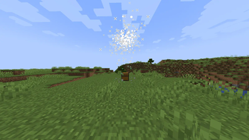 Loot Chest