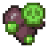 Plague