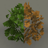 Bushy Leaf Decay