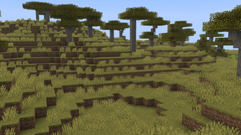 Savanna