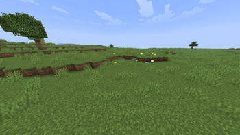 Plains