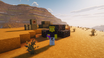 hermit purple