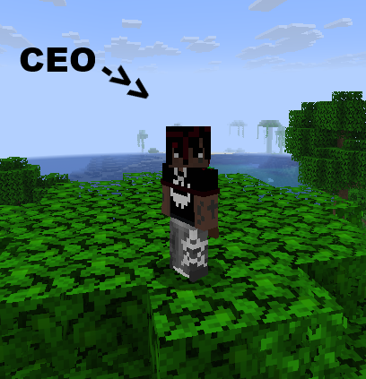 Ceo screen