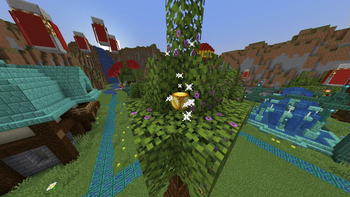 Collectible used in SMP