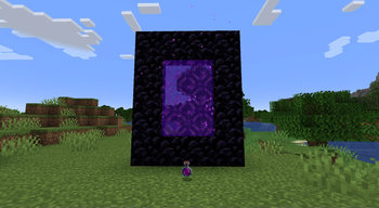 A nether portal with a bottle of nether portal essence