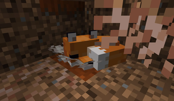 Inside a Fox Den