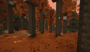 New Dappled Forest