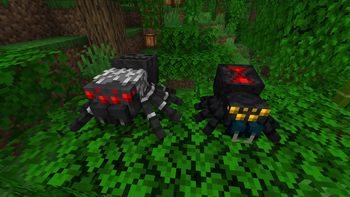 Jungle Tarantula and Black Widow