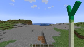 First Person Leek