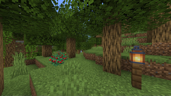 A forest with fresh new textures.