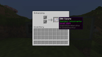 DNA Enhancer