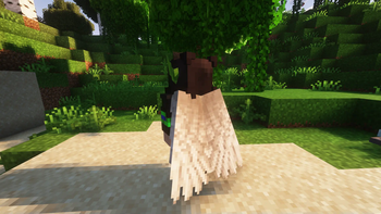 Elytra --> Angel Wings