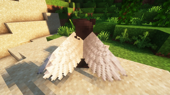 Elytra --> Angel Wings (Shift)