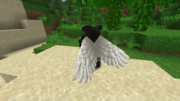 Elytra --> Angel Wings (Shift)