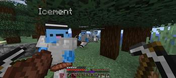 Player Husk — screenshot 3