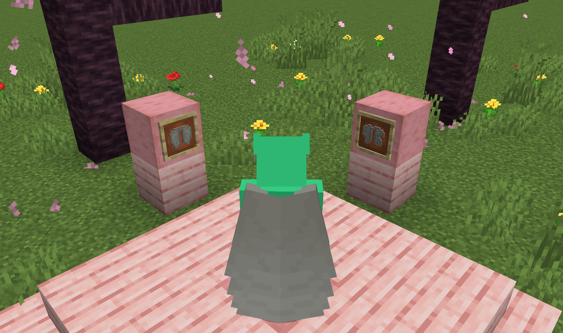 Screenshot demonstrating Resource Pack