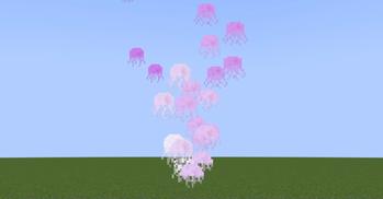 Jellyfish