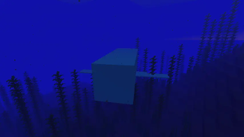 Whale