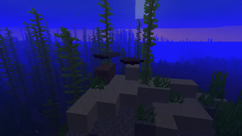 Coralith