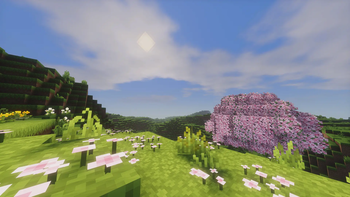 Plains With a Cherry Tree