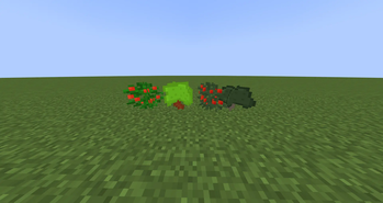 Plants!