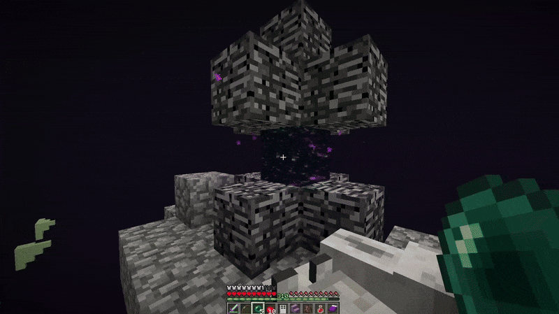 Pets teleport through all portals and gateways