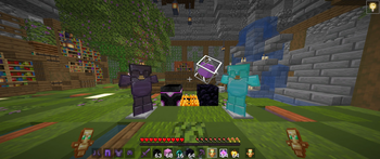 TCTcpvp