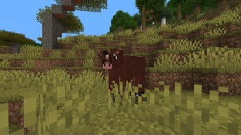 Cow-horse
